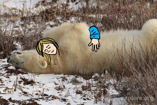 polarcuddle